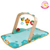 Hape  Portable Baby Gym E0045