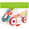 Hape  My First Musical Walker E0383