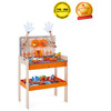 Hape  Deluxe Scientific Workbench E3027