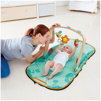 Hape  Portable Baby Gym E0045