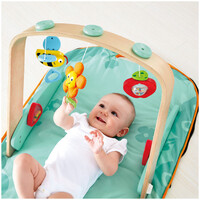 Hape  Portable Baby Gym E0045