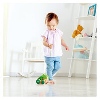 Hape  Frog Pull Along E0361