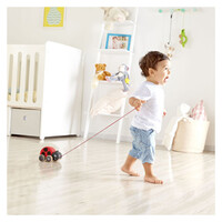 Hape  Ladybug Pull Along E0362