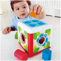 Hape  Shape Sorting Box E0507