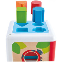 Hape  Shape Sorting Box E0507
