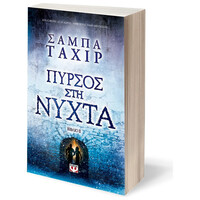 Ψυχογιός 20395 Πυρσος στη Νυχτα