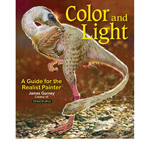 Simon & Schuster Colour And Light