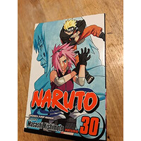 Viz Media Naruto, Vol. 30