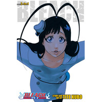 Viz Media Bleach (3-In-1 Edition), Vol. 22  : Includes Vols. 64, 65 & 66