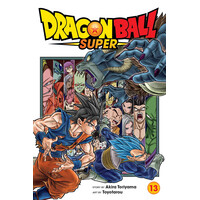 Viz Media Dragon Ball Super, Vol. 13