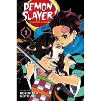Viz Media Demon Slayer, Kimetsu No Yaiba, Vol. 1