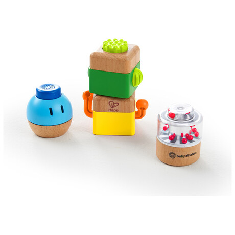 Hape  Four Fundamentals™  Wooden Sensory Set80085