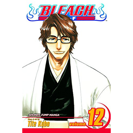 Viz Media Bleach Vol. 12