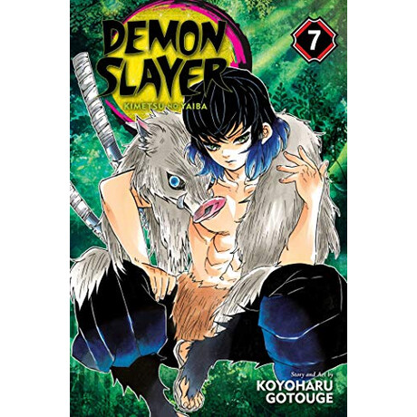 Viz Media Demon Slayer Vol. 7