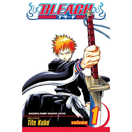 Viz Media Bleach Vol. 1