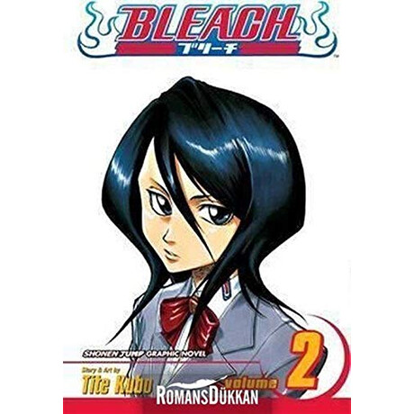 Viz Media Bleach, Vol. 2