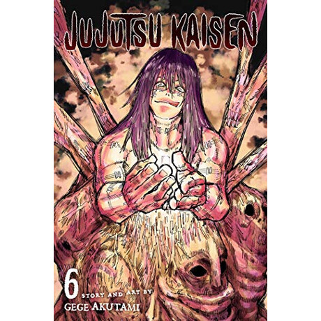 Viz Media Jujutsu Kaisen, Vol. 6
