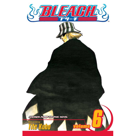 Viz Media Bleach Vol. 6